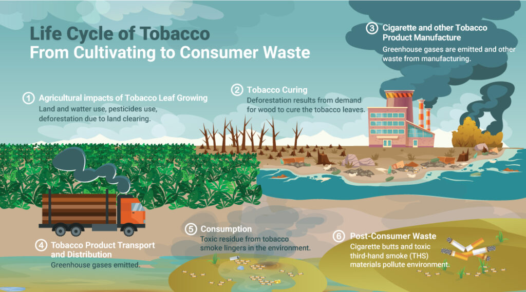 is tobacco fmcg How A Cigarette Company Became One Of India's Most Trusted FMCG Brands